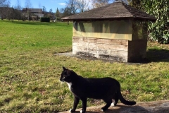 trina4 Ponyo (vorher Trina)