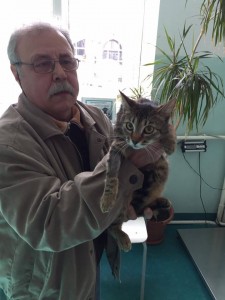 nicolae doina-f1 tigr