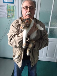 nicolae doina-f2 cal