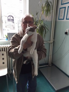 nicolae doina-f3 alb